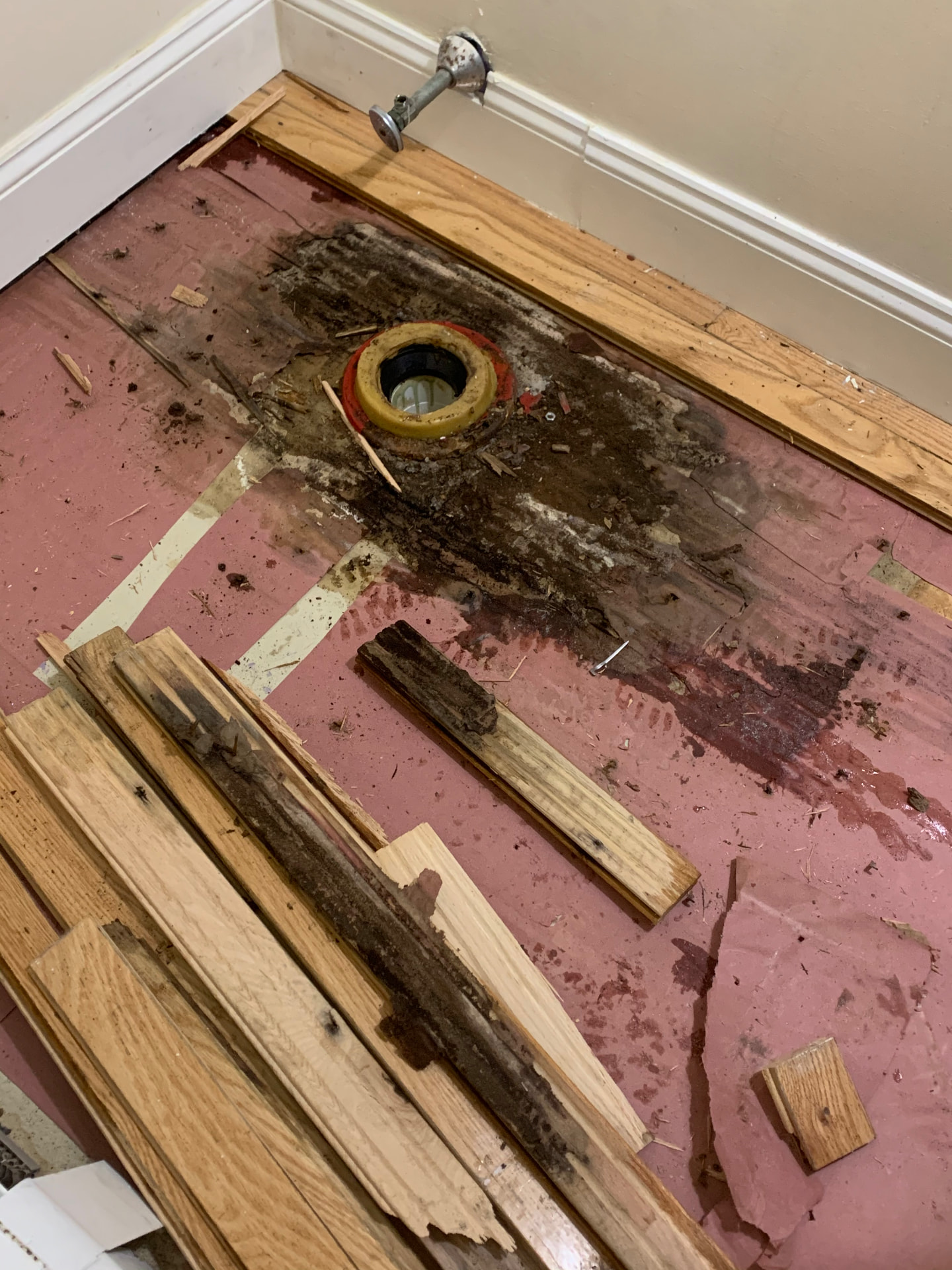 Hardwood floor pulled up in our home, showing dark hidden mold on the subfloor underneath